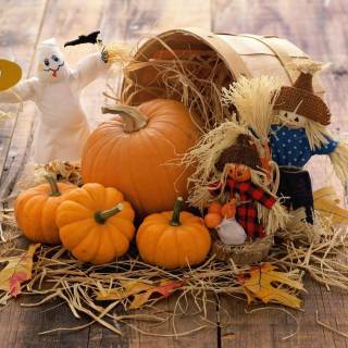 Autumn pumkins wallpaper