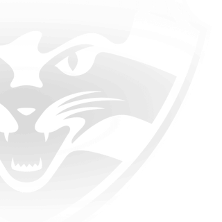 Geelong Football Club wallpaper