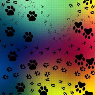Rainbow dog wallpaper