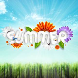 Summer fun wallpaper