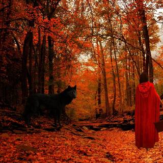 Women autumn wallpaper