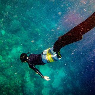 Spearfishing wallpaper