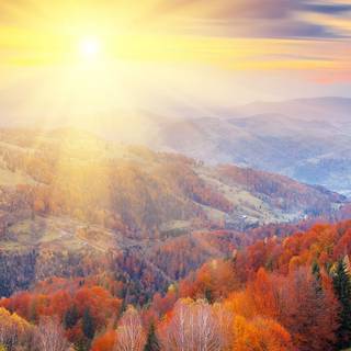 Autumn wilderness wallpaper