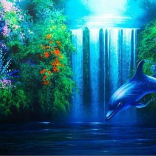 Happy Dolphin Day wallpaper