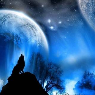 Light wolf wallpaper