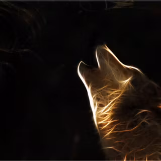 Light wolf wallpaper