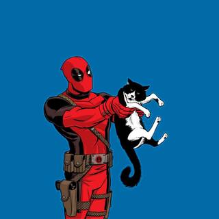 Cat Deadpool wallpaper