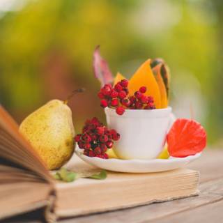 Autumn cup wallpaper