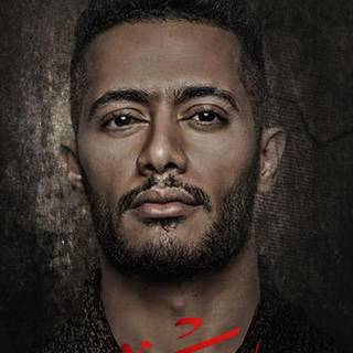 Mohamed Ramadan wallpaper
