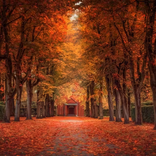 Autumn in a street wallpaper