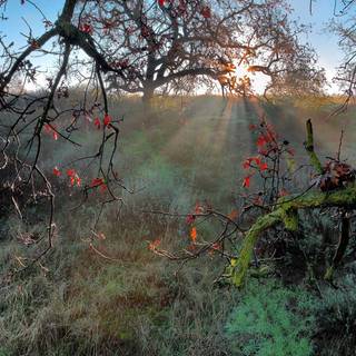 Autumn sunshine wallpaper