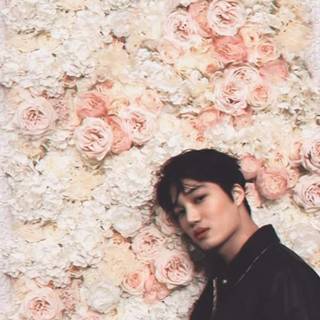 Jongin wallpaper