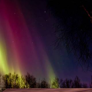 Night seen rainbow wallpaper