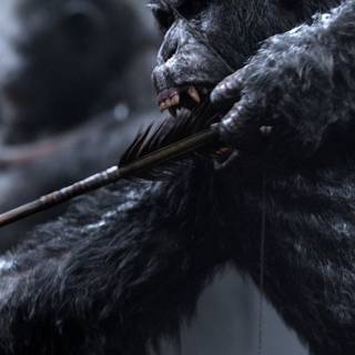 Planet of The Apes iPhone wallpaper