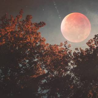 Moon autumn wallpaper