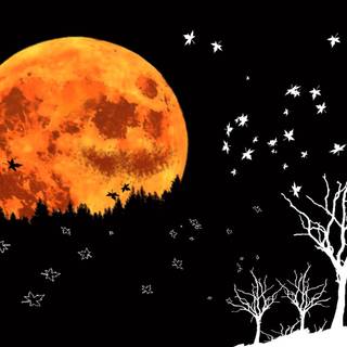 Moon autumn wallpaper