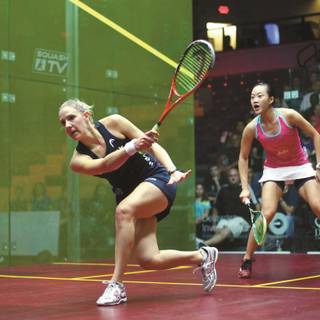 Squash sport wallpaper