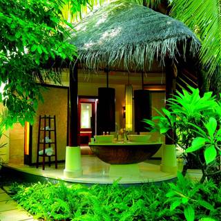 Nature house wallpaper