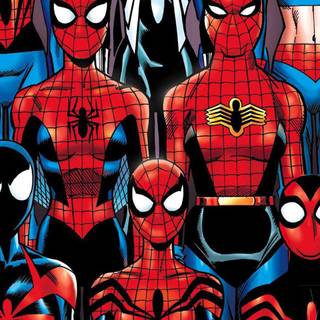 Spidergirl wallpaper
