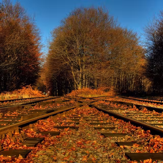 Autumn and railroad tracks wallpaper