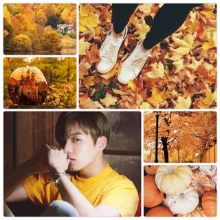 Autumn aesthetic kpop wallpaper