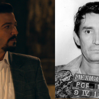 Narcos Mexico wallpaper