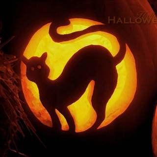 Welcome Halloween wallpaper