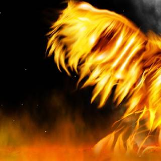 Yellow fire wallpaper