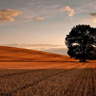 Sunset autumn desktop wallpaper