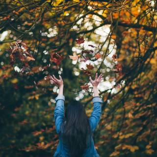 Autumn back wallpaper