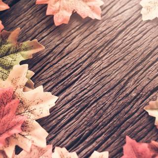 Autumn back wallpaper