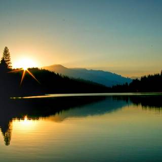 Morning sun wallpaper