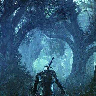 The Witcher HD Android wallpaper