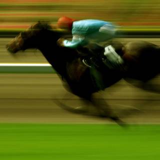 Horse race wallpaper