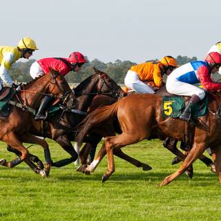 Horse race wallpaper