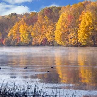 MHA autumn wallpaper