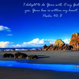 Impatience wallpaper