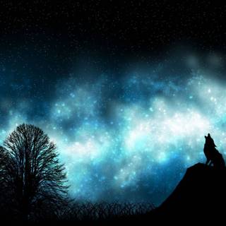 Dual monitors wallpaper