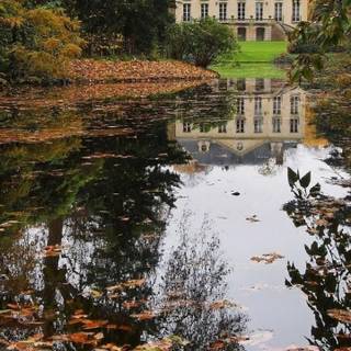 OnePlus autumn wallpaper