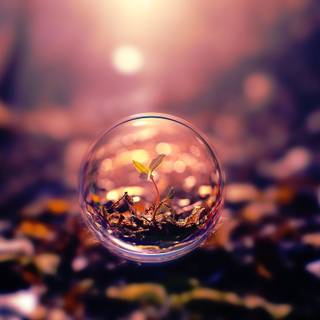 Water bubble circle HD wallpaper