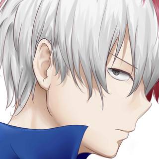 Girl Todoroki wallpaper