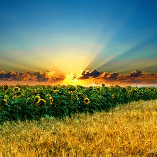 Scenery around the world wallpaper