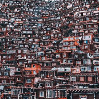 Slum wallpaper