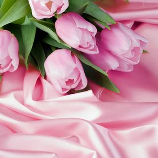 Pink silk wallpaper