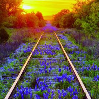 Train tracks wallpaper