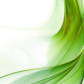 White green wallpaper