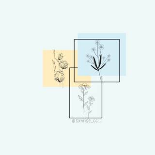 Aesthetic flower drawing wallpaper