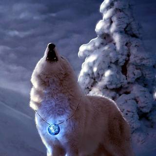 Magical wolf wallpaper