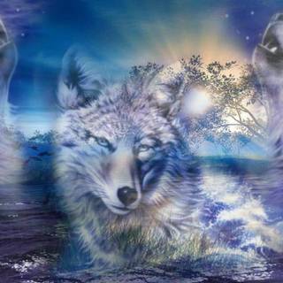 Magical wolf wallpaper