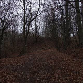 Dark autumn fire wallpaper